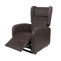 Exotic Elevating Armchair: With electric reclining up to 150º and suitable for patients and companions